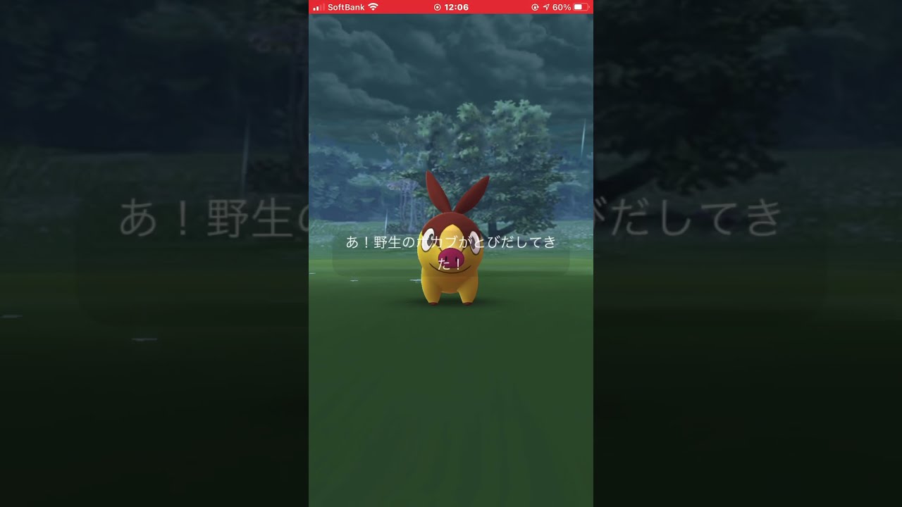 #ポケモンGO ポカブ 色違い #Shorts