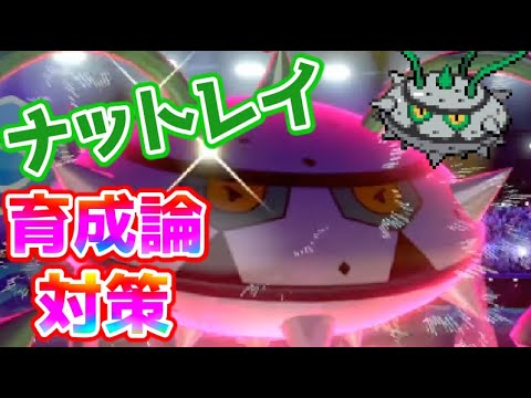 【ポケモン剣盾】ナットレイ育成論対策【ポケモン育成論】