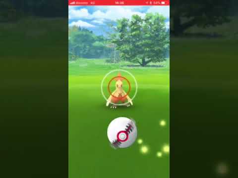 【ポケモンGO】ワカシャモとの遊び。