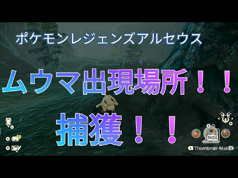 「ポケモンレジェンズアルセウス」ムウマ出現場所！！捕獲！！