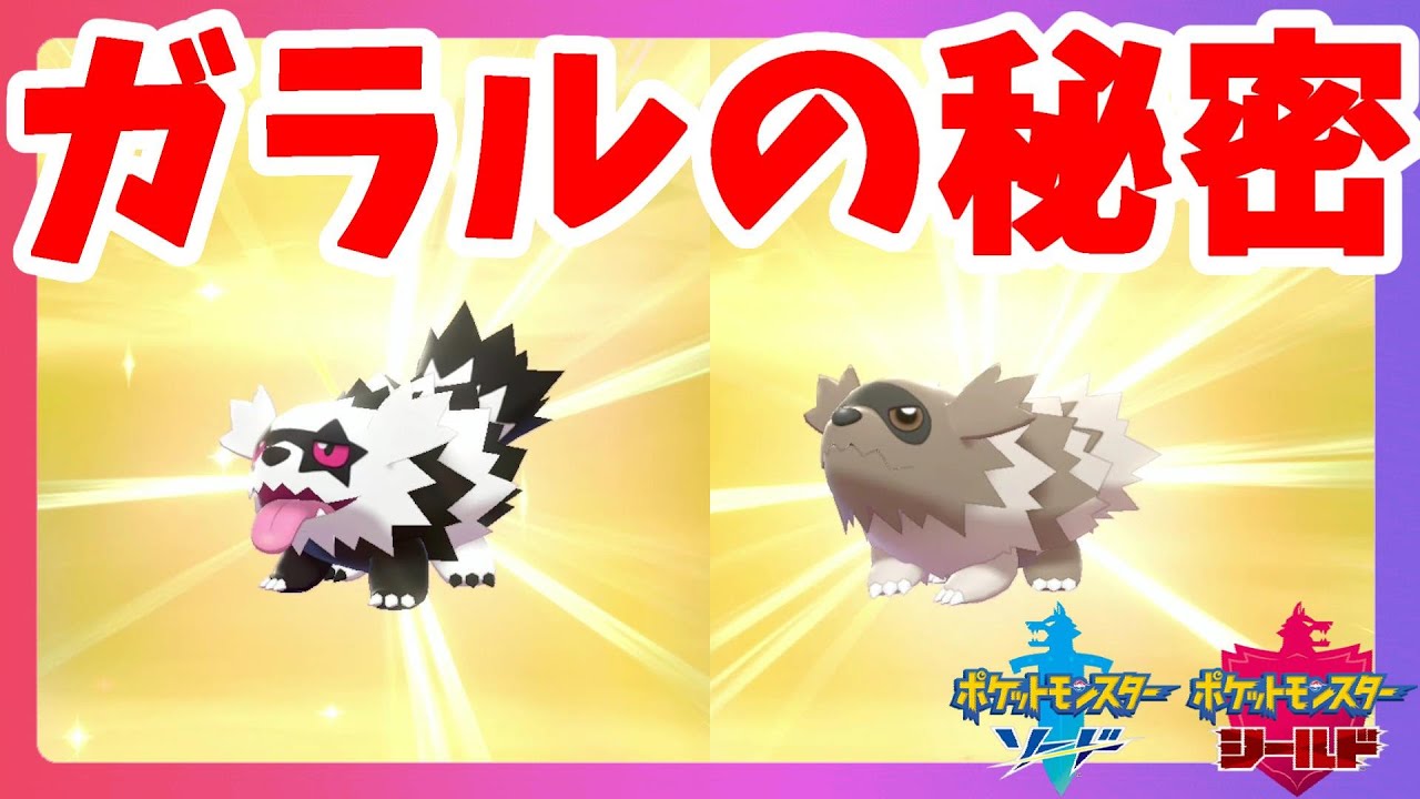 【ポケモンソードシールド】ジグザグマの秘密！本当の元祖はガラルの姿！？冠の雪原【エキスパンションパス】