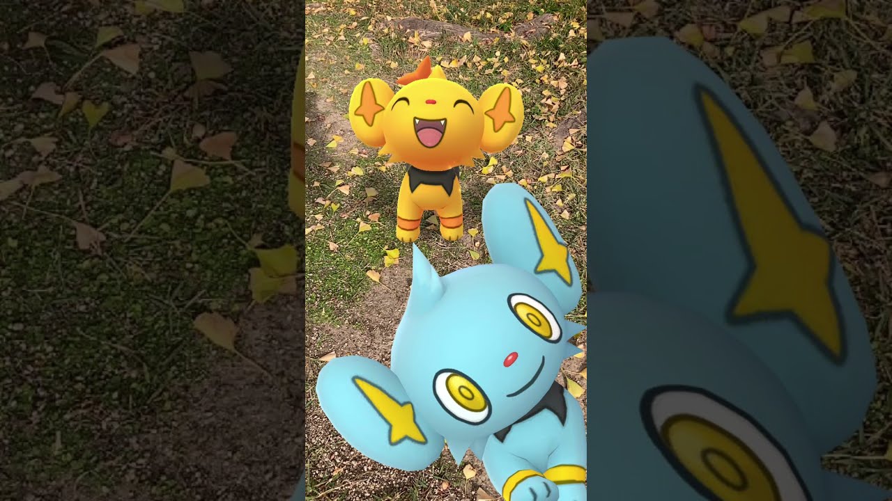 コリンク｜Shinx｜ルクシオ｜Luxio｜レントラー｜Luxray｜ShinyPokémon【ポケモンGO】｜AR動画｜PoKeMoN GO AR｜#Shorts