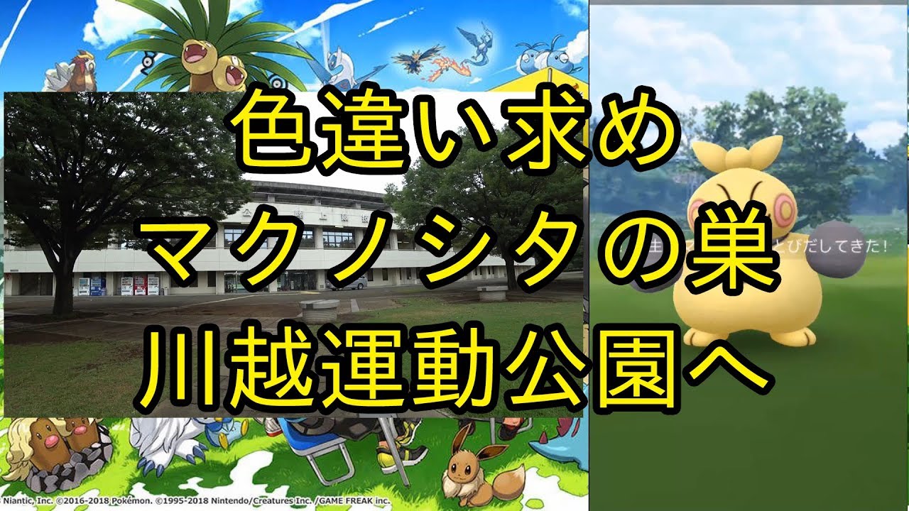 【ポケモンＧＯ】マクノシタの巣になった川越運動公園へ