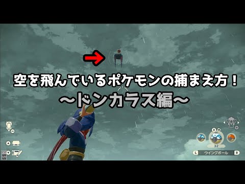 【ポケモンレジェンドアルセウス】空を飛んでいるドンカラスの捕まえ方！！ Pokémon LEGENDS アルセウス