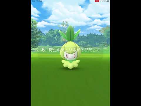 【ポケモンGO】初めて、野生のチュリネに遭遇！
