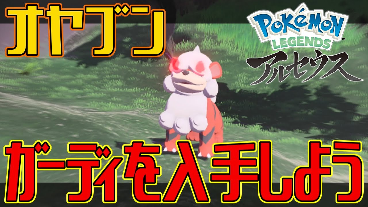 【ポケモンアルセウス】オヤブンのガーディを入手しよう【Pokémon LEGENDS アルセウス】