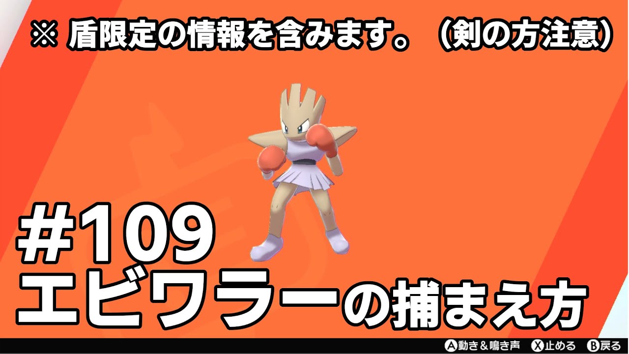 エビワラーを探している方に見てほしい動画