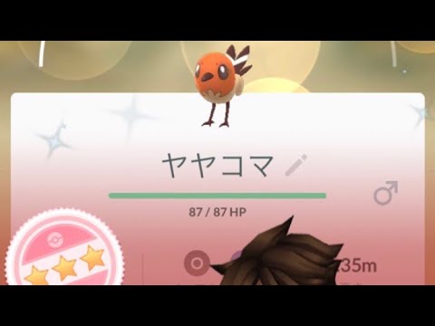 【ポケGO】えっ？100やん！【ヤヤコマ】