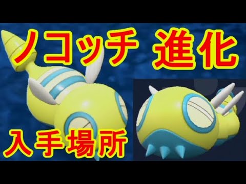 ノココッチ【ポケモンsv】進化方法ノコッチ出現場所入手【バイオレットスカーレット】