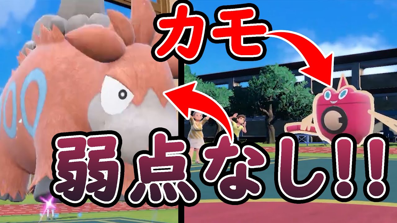 【ポケモン闇コロシアム】実質【弱点なし】バクーダが相手を惑わせる