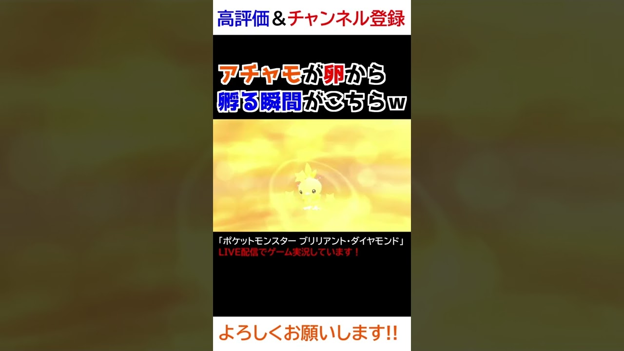 色違いアチャモが卵から孵る瞬間ｗｗｗｗ【ダイパリメイク】