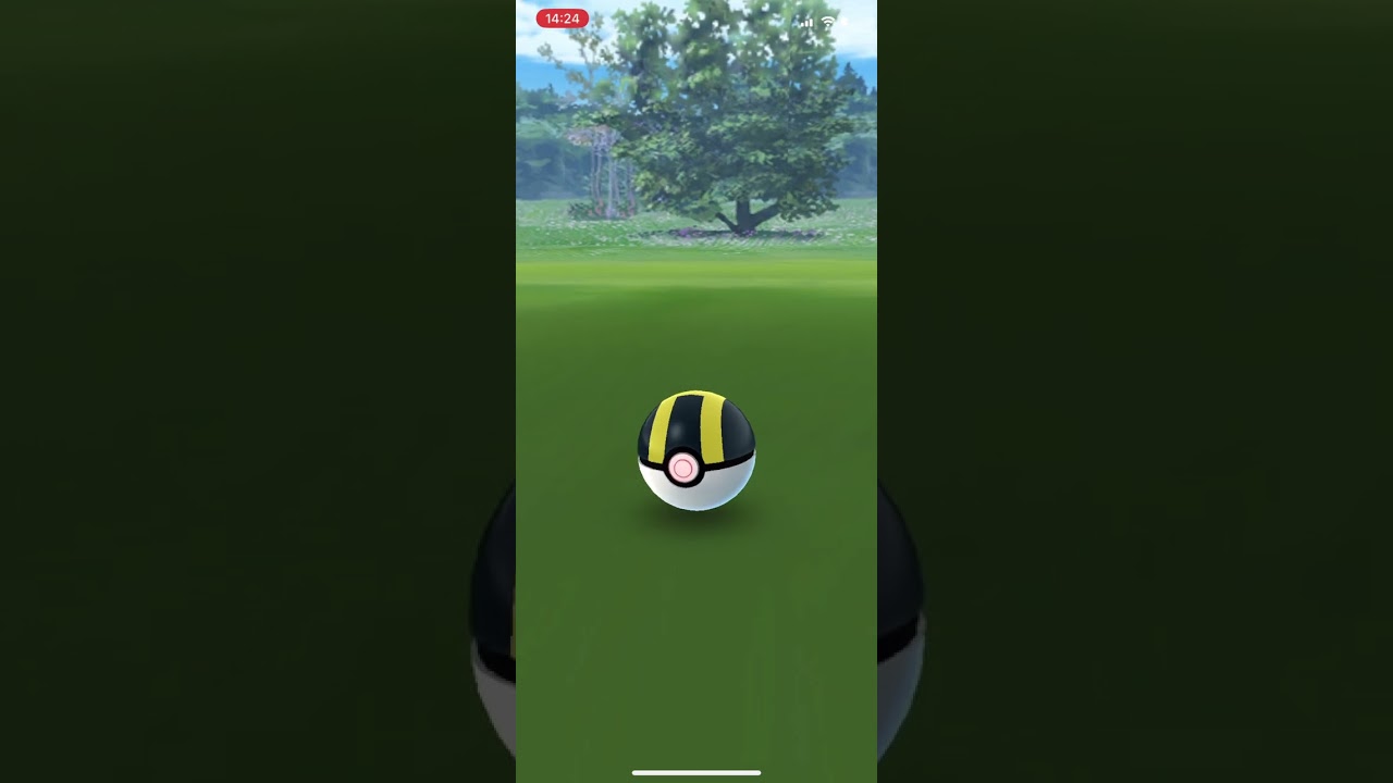【ポケモンGO】色違いハリマロン！コミュニティデイ　#shorts