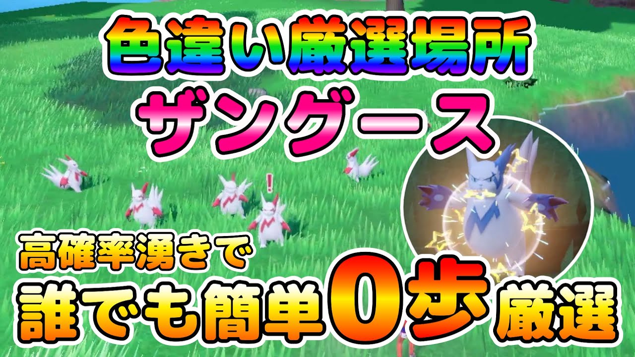 【色厳選】色違いザングースはここで狙え！大量発生無しでもザングースを高確率で出現させれる厳選場所！！【ポケモンSV】