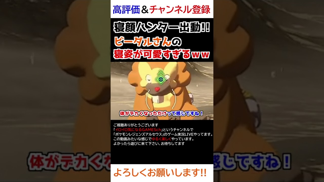 ビーダルさんの「寝姿」が可愛すぎるｗw【Pokémon LEGENDS アルセウス】【寝顔ハンター】