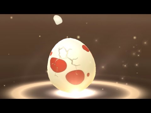 ポケモンgo 12キロタマゴガチャ　激レア！　メグロコが孵化