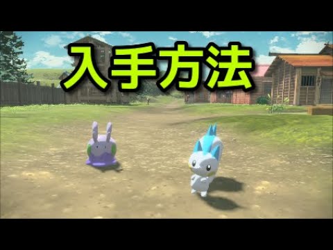 【ポケモン アルセウス】パチリス ヌメラ 入手方法 出現場所 捕まえ方【Pokémon LEGENDS アルセウス】