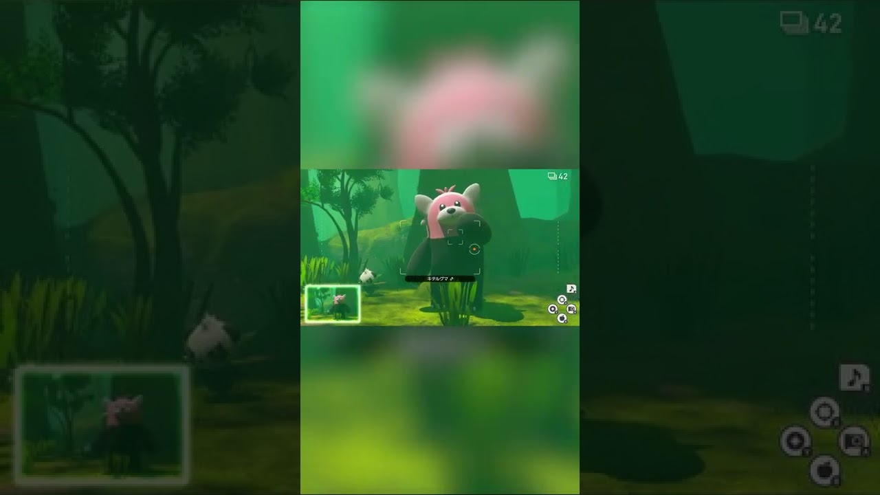 【Newポケモンスナップ NEW POKÉMON SNAP】カメラ目線のキテルグマ #shorts