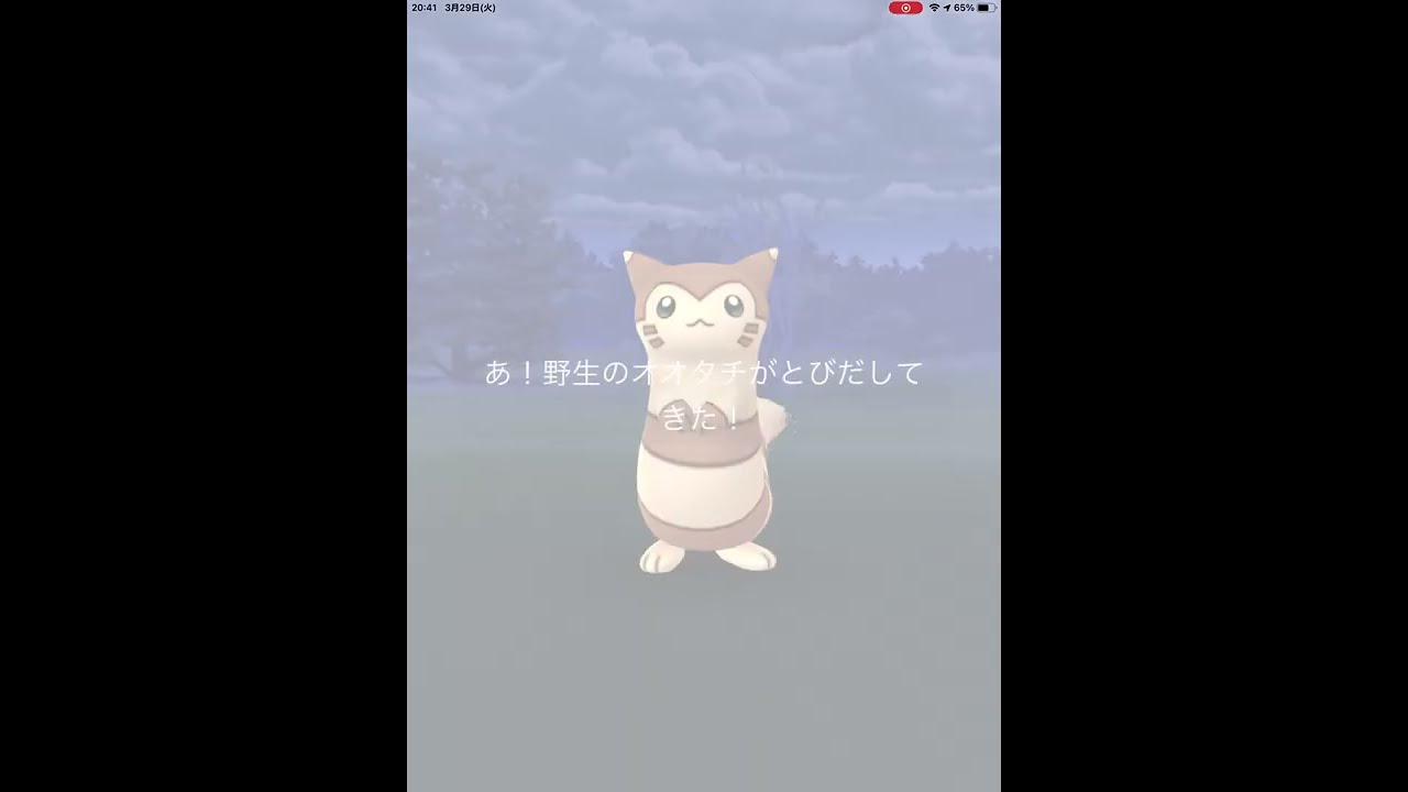 【ポケモンGO】初めて、野生のオオタチに遭遇！
