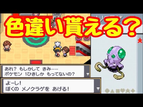【検証】タンバシティの隠しイベントで貰えるメノクラゲは色違いが出るのか？【HGSS】