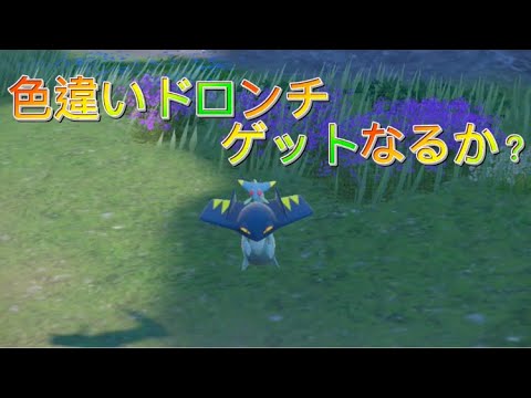 色違いドロンチに遭遇！！ゲットなるか？【ポケモンSV】