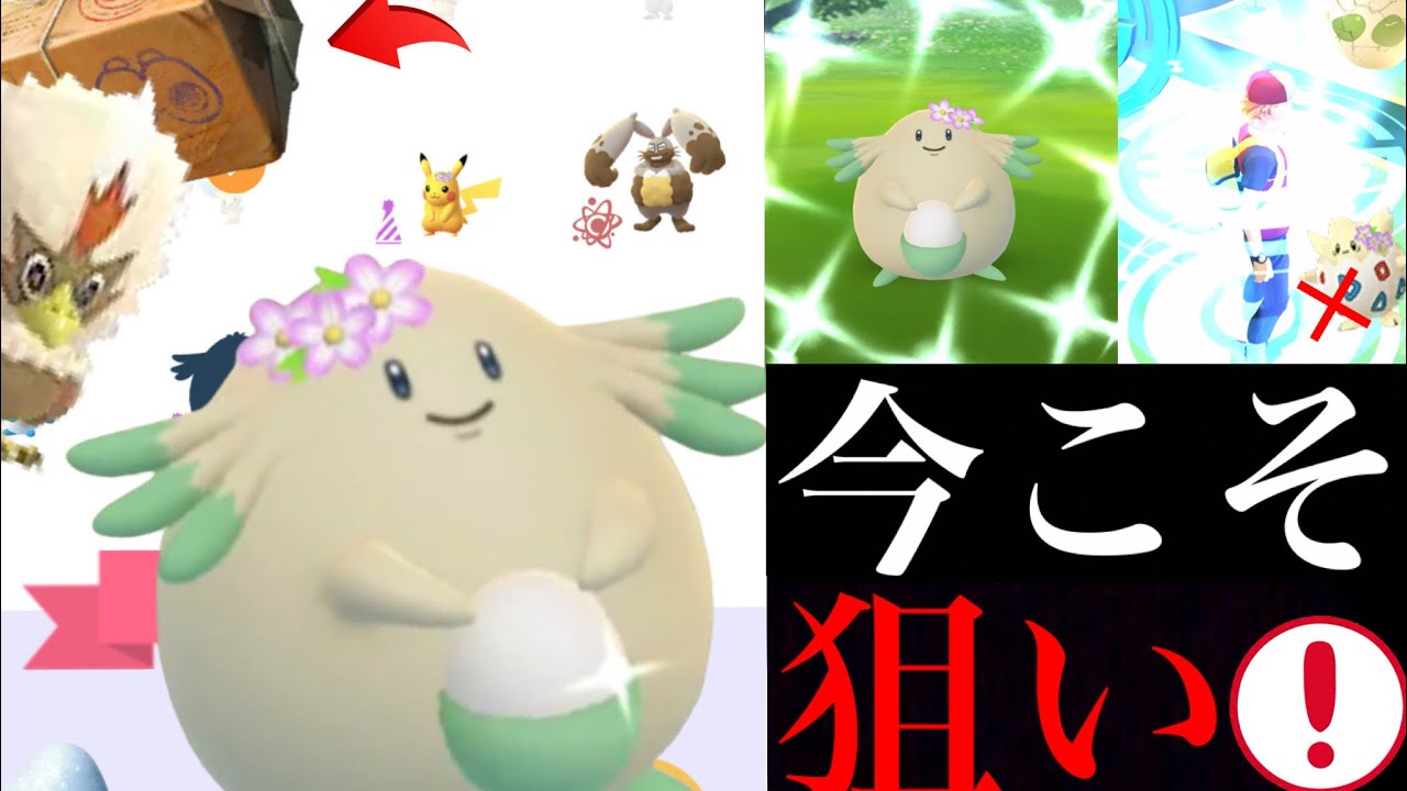 【ポケモンGO】絶対に狙うべきは〇〇タスク！？２ｋｍタマゴのレア度も判明！色違いラッキーやワシボンも今こそゲットできるチャンス・・！【春イベント・メガミミロップ】