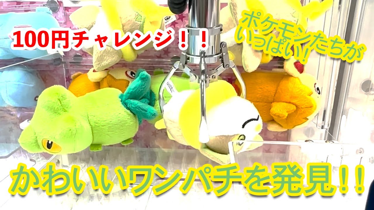 クレーンゲーム　１プレイでワンパチのぬいぐるみを取ることはできるのかー！？