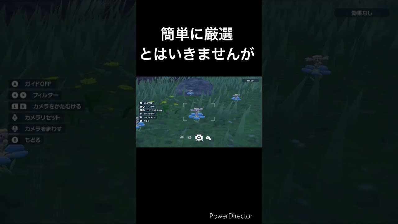 フラベベの色違い厳選場所をご紹介 最高難易度 初公開　#ショート