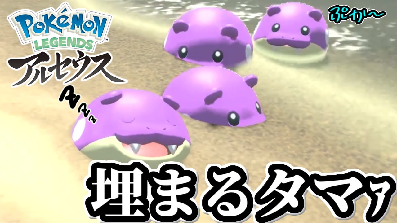 タマザラシは砂浜に埋まってしまってもｶﾜｲｲらしい【ごまちゃん切り抜き】【ポケモンLEGENDSアルセウス】