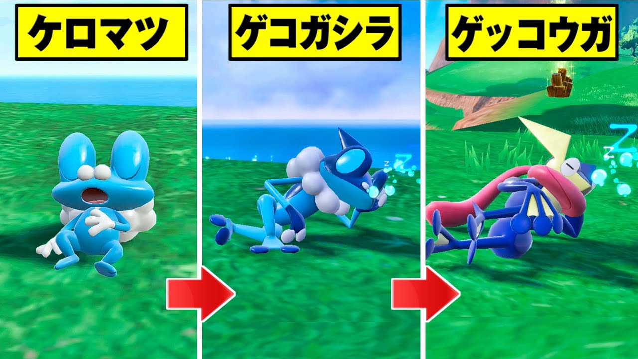 【ポケモンSV】ゲッコウガ 比較集 寝顔モーション【Pokémon スカーレットバイオレット】ケロマツ/ゲコガシラ/ゲッコウガ対策