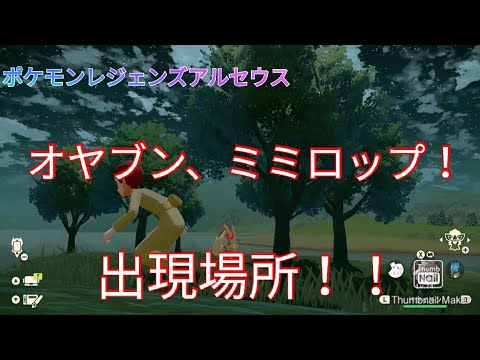 「ポケモンレジェンズアルセウス」オヤブン、ミミロップ！出現場所！