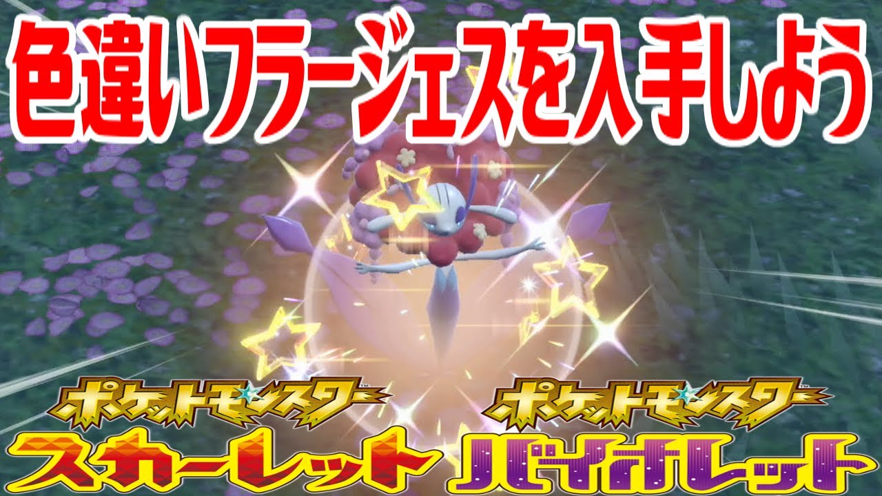 【ポケモンSV】色違いフラージェスを入手しよう【ポケットモンスター スカーレット・バイオレット】Pocket Monsters