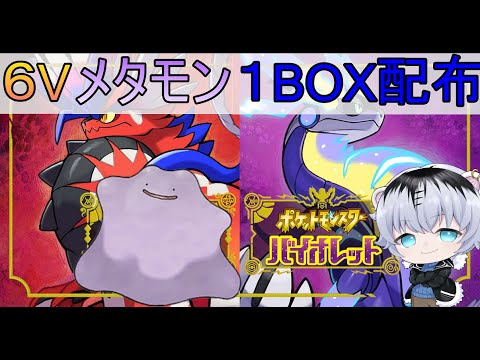 【ポケモンSV】レイド産控えめ６Vメタモン(ENG)１BOX配布！概要欄読んでね！