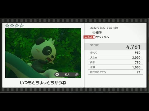 Newポケモンスナップ　★4ヤンチャム【4761】
