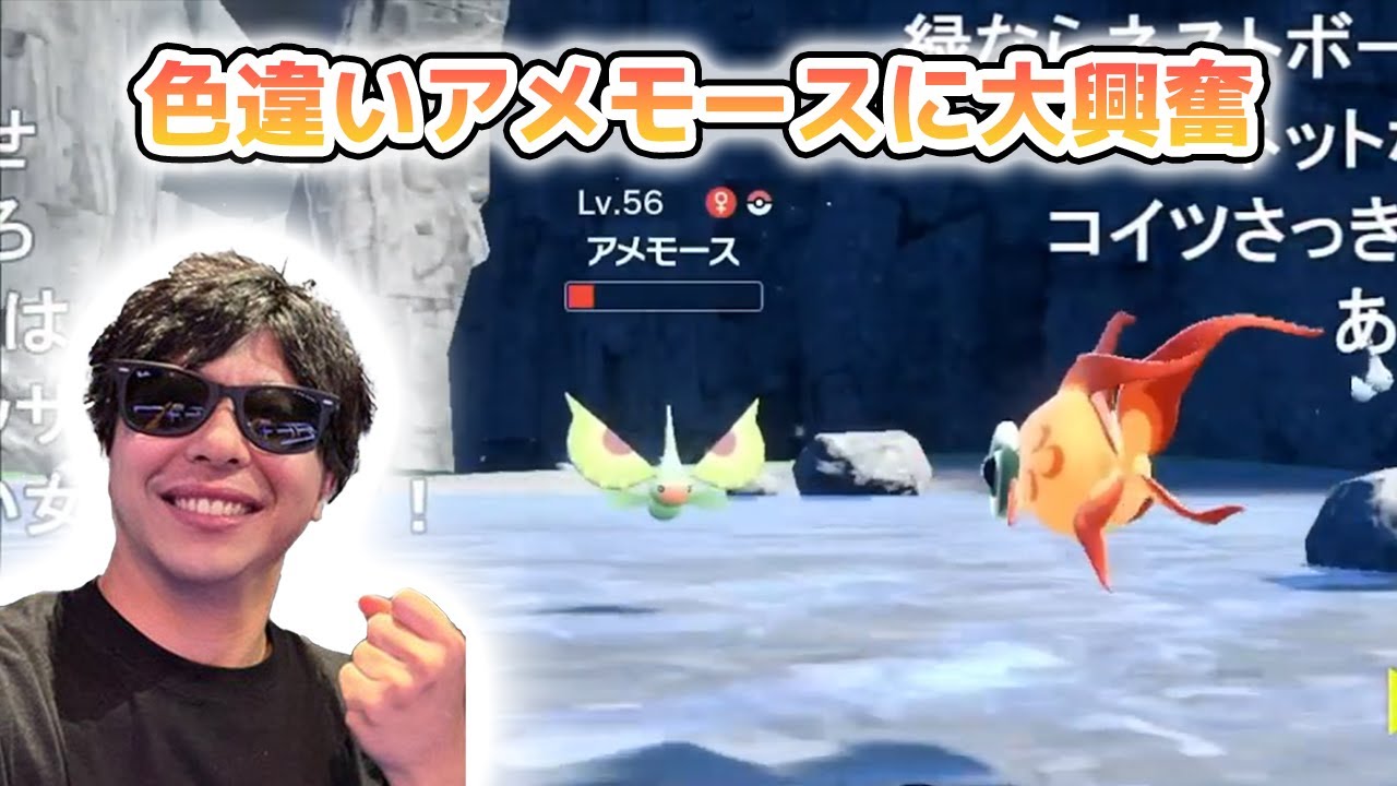 色違いアメモースに大興奮【もこう切り抜き】
