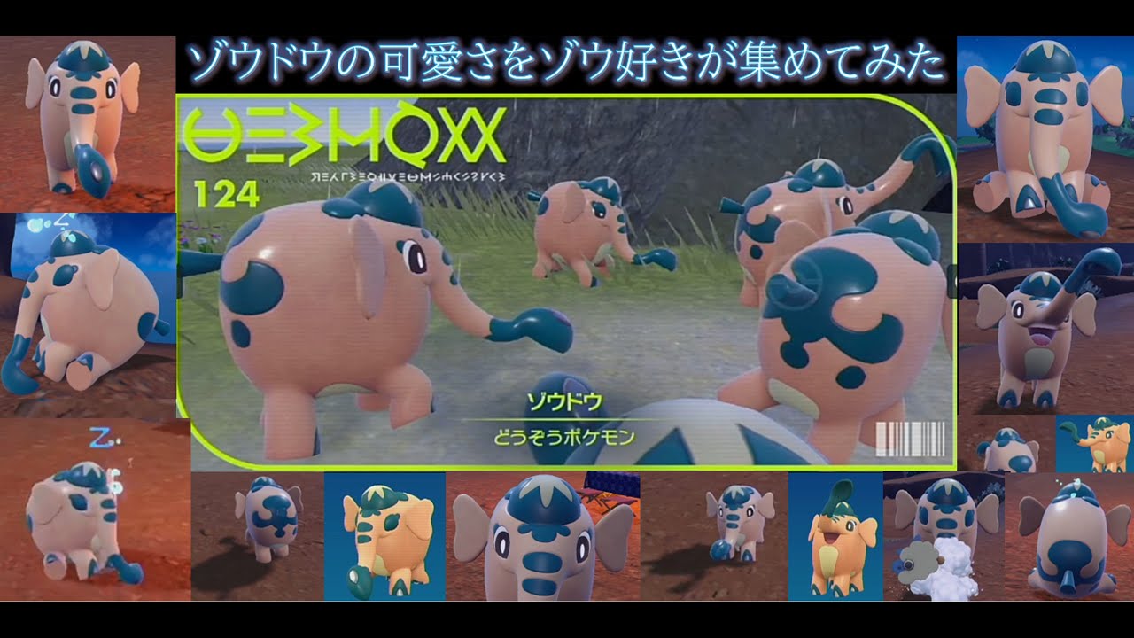 ゾウドウの可愛さをゾウ好きが集めてみた