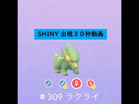 【Pokémon GO】Rarity ”B”＃309 ラクライ ☆shiny☆#Shorts