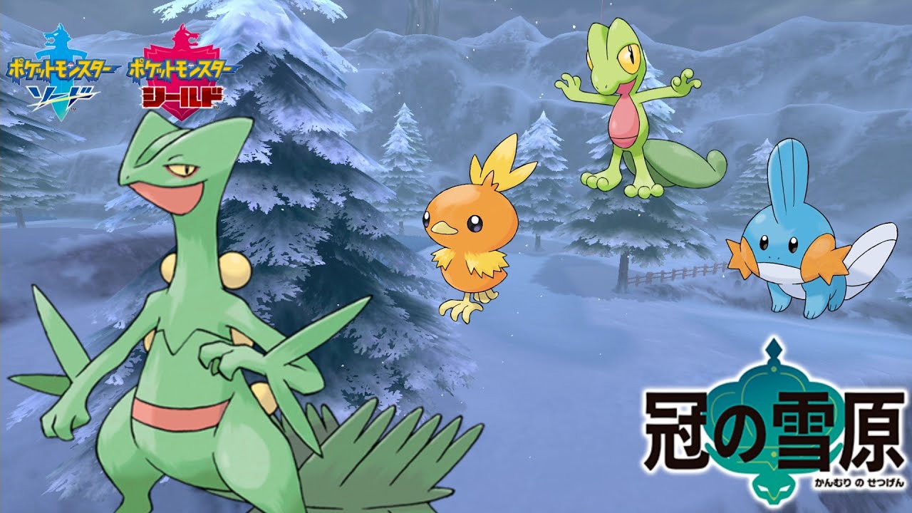 ソードシールドに相棒のジュカイン(ホウエン御三家)が追加されたという噂を確かめる【ポケモン剣盾 冠の雪原】