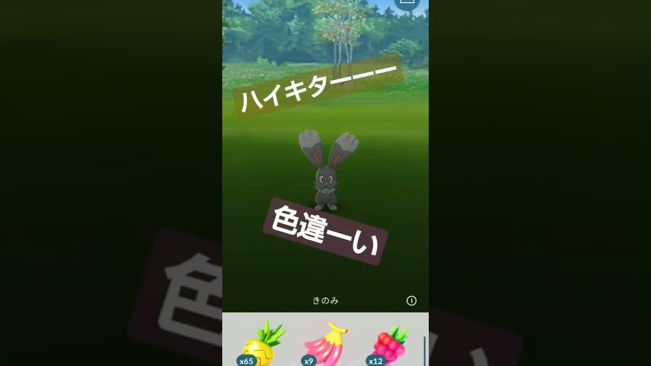 【ポケモンGO】ホルビー色違い登場　#ポケモンgo 　#shorts 　#ホルビー　#色違い 　#けーしぃん