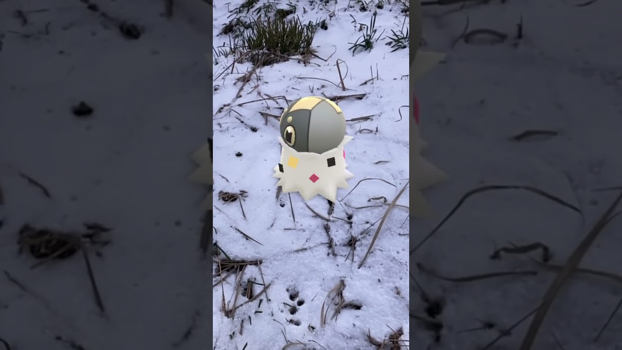 せつげん｜Tundra｜コフキムシ｜Scatterbug｜コフーライ｜Spewpa｜ビビヨン｜Vivillon｜AR動画｜PoKeMoN GO AR【ポケモンGO】淡路島でも雪
