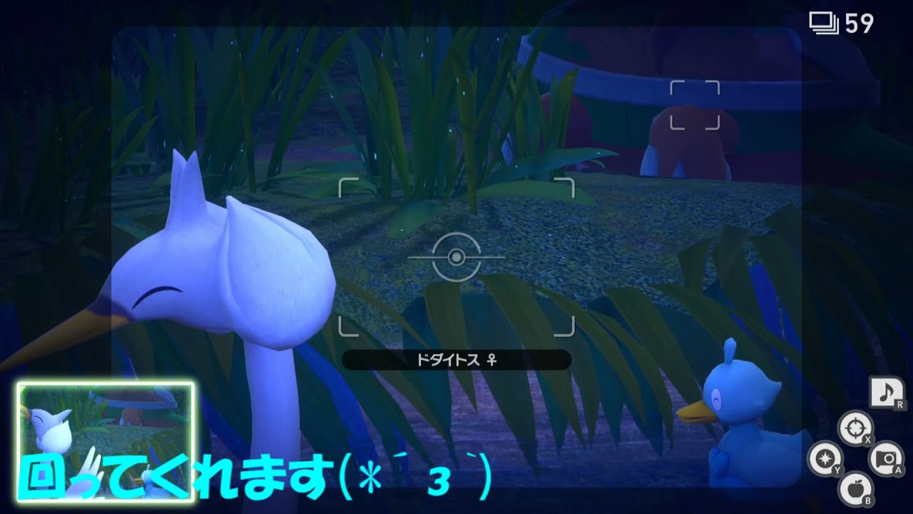 スワンナにりんごをあげると/【ポケモンスナップ】part54 #Shorts