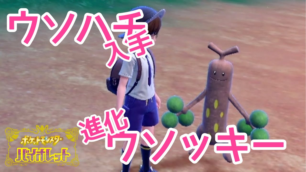 【ポケモンSV】ウソハチ入手場所紹介・ウソッキー進化【バイオレット】実況！！