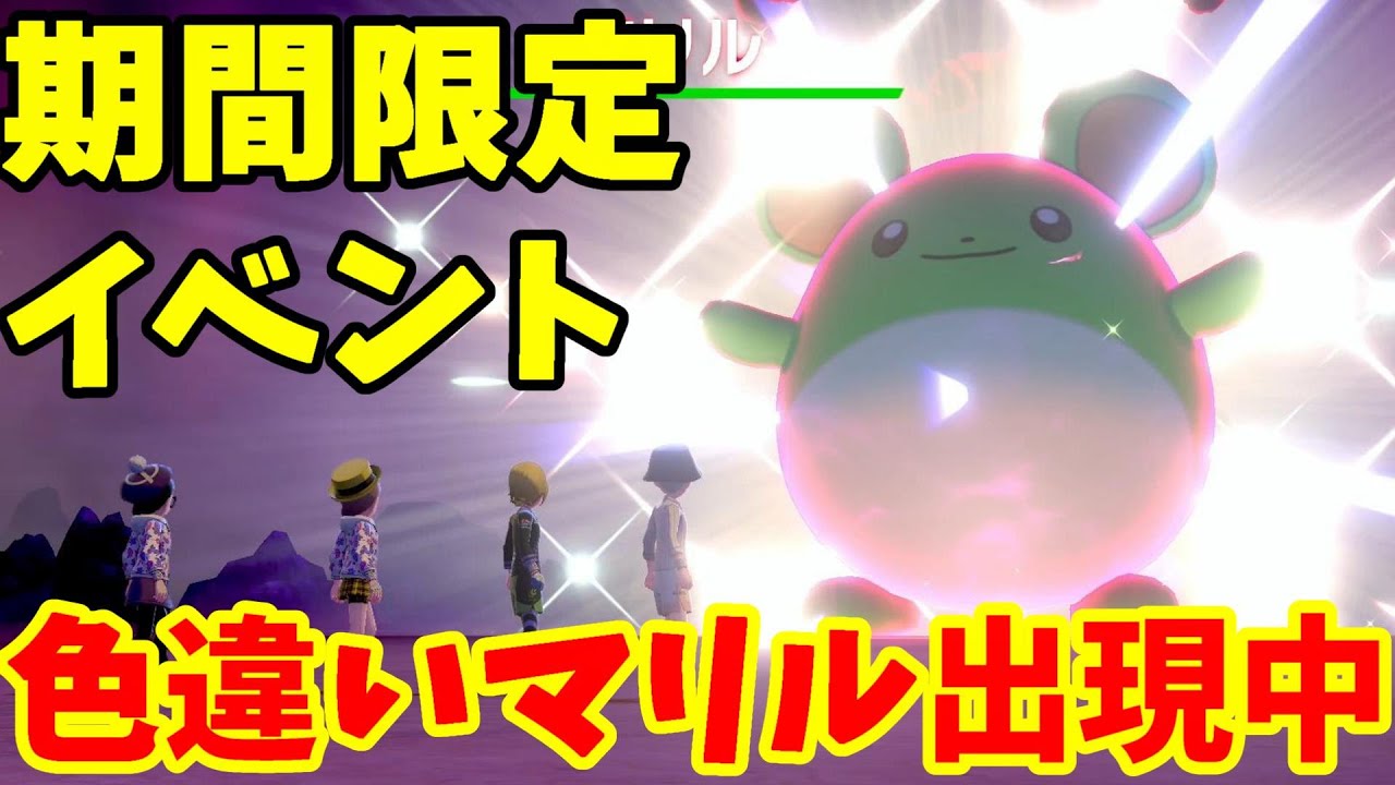 色違いマリル出現中！期間限定イベントでまさかの結果が！【ポケモンソードシールド】