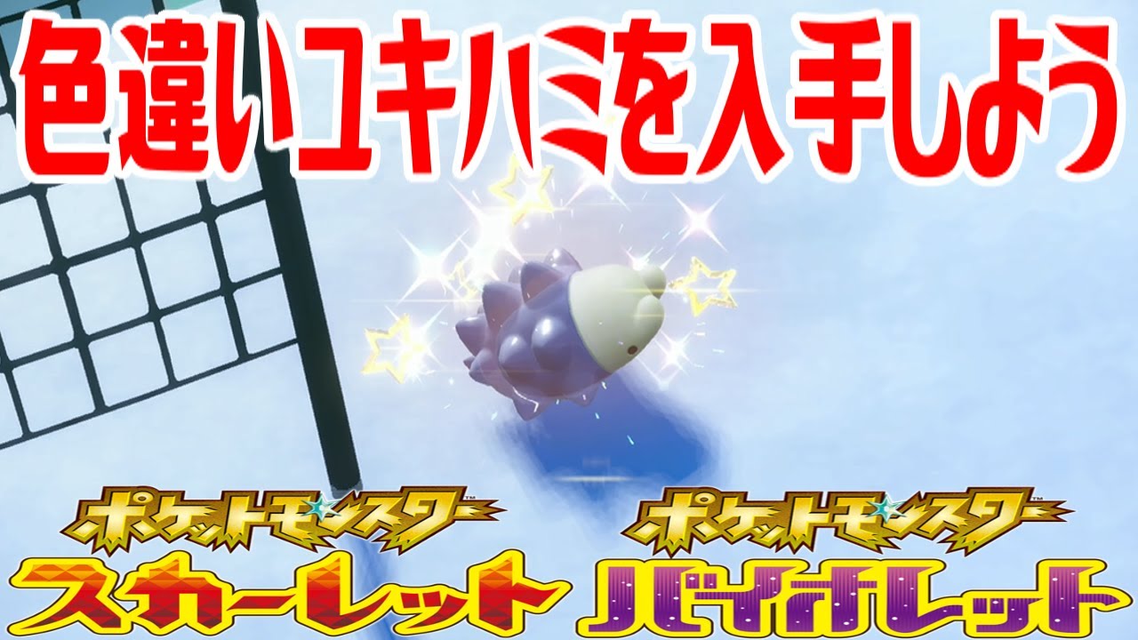 【ポケモンSV】色違いユキハミを入手しよう【ポケットモンスター スカーレット・バイオレット】Pocket Monsters