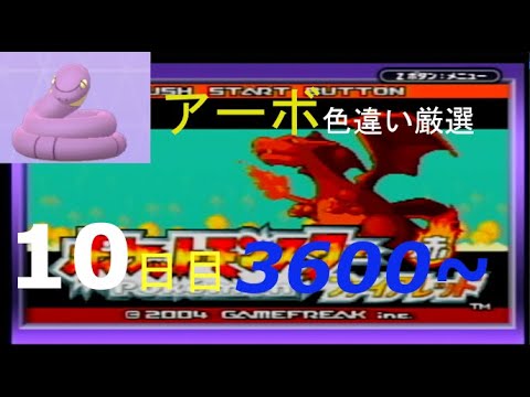 【金のガラガラヘビ】新米配信者のアーボ色違い厳選(10日目) 3600~【ポケモンFRLG】