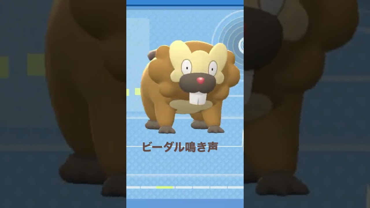 BDSP【シンオウ図鑑NO014】ビーダル鳴き声#ポケモン鳴き声 #図鑑コンプ #ブリリアントダイヤモンド #シャイニングパール#ポケモン生態#第四世代鳴き声#Bibarel