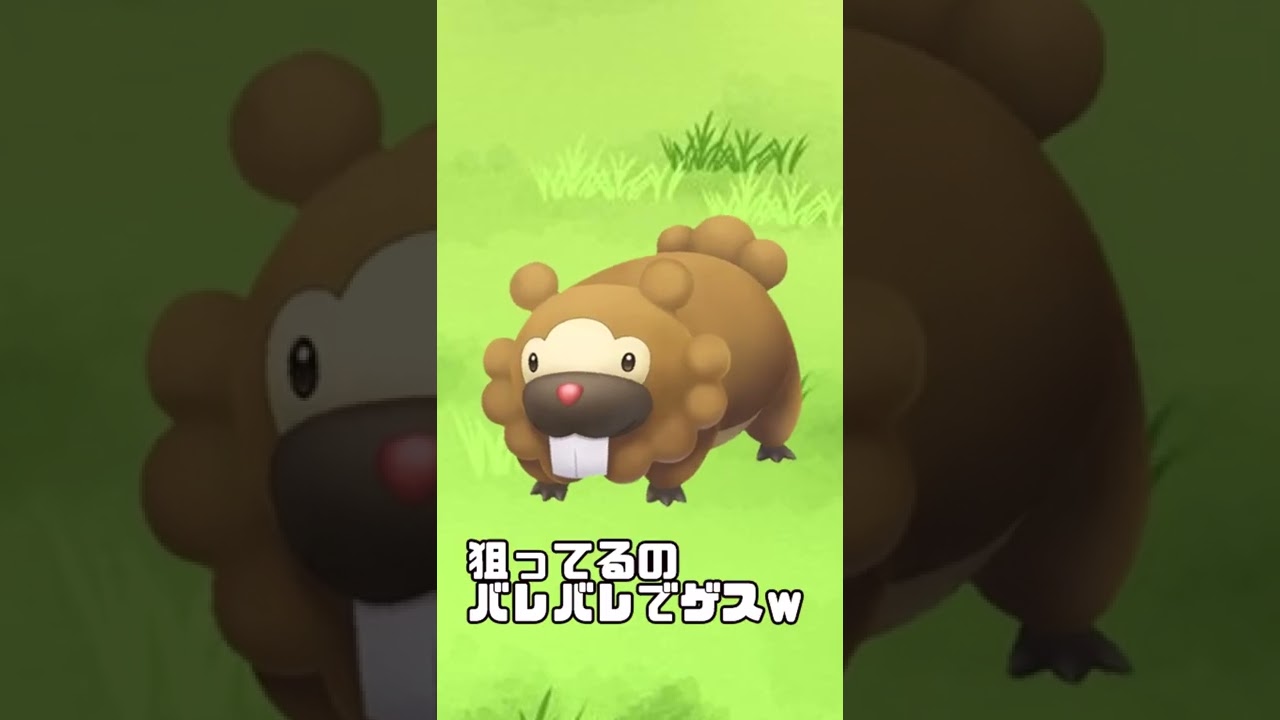 ビッパに煽られた......！！　#shorts　【アルセウスレジェンズ】【ポケットモンスター】