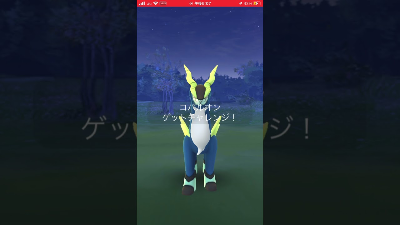 色違いコバルオンゲッチャレ！！ 嬉しすぎる！！ #ポケモンgo #色違い #コバルオン