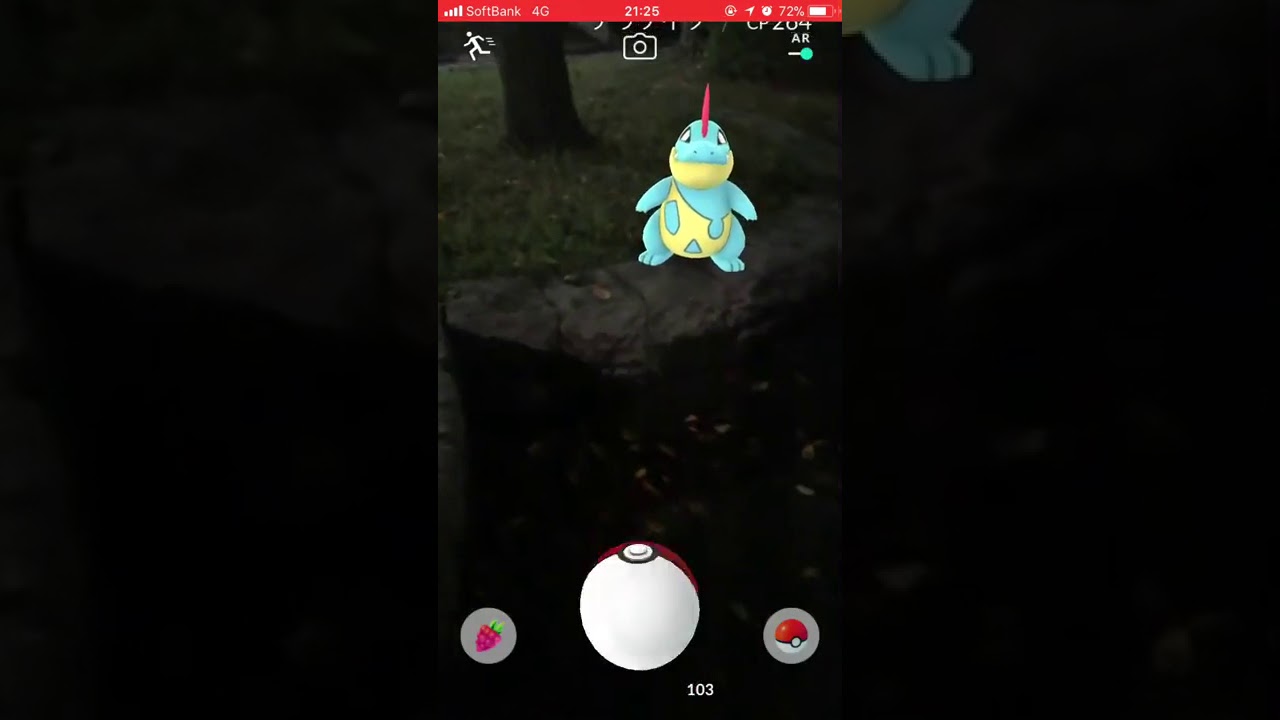 ポケモンGO初ゲット〜アリゲイツ