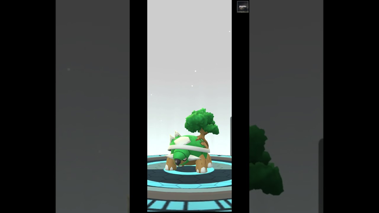 포켓몬고 수풀부기 토대부기 진화 과정 | ハヤシガメ Grotle | ドダイトス Torterra #Shorts