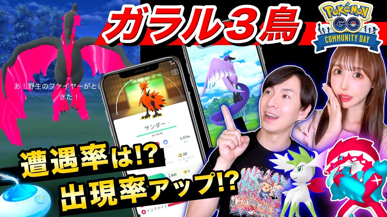 ガラル３鳥のために気を付ける事！シェイミ個体値ガチャ！過去最高ボーナス発生のGジグザグマのコミュニティデイライブ【ポケモンGO】
